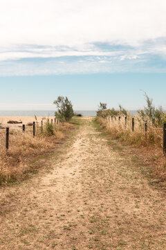 Sandy path