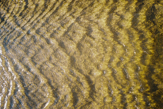 Water ripples creating abstract patterns
