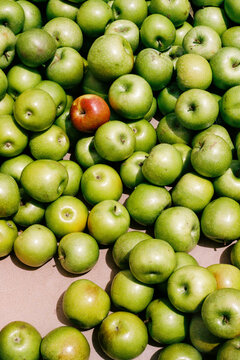 Film photo of Fresh Green Apples with One Red Apple Pop