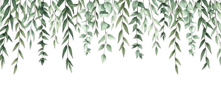 Black and white watercolor willow leaves hanging border illustration