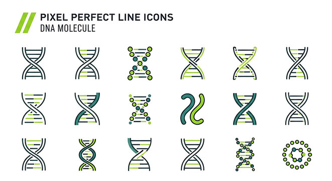 Set of pixel perfect line icons representing DNA molecular structures and genetics with genetics molecule biotechnology research scientific laboratory biochemistry molecular chromosome