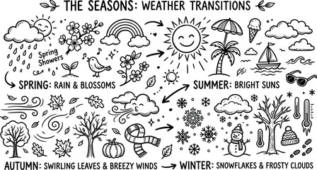 Hand drawn doodle vector set depicting four seasons weather transitions from spring blossoms and summer sun to autumn leaves and winter snowflakes. © Md