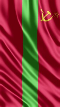 Professional animation of the Transnistria flag waving in the wind, ideal for Eastern European news, regional identity projects, cultural presentations, education, web banner use, and national holiday
