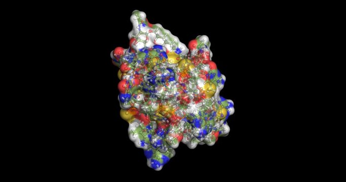 Evazarsen, antisense oligonucleotide for hypertension and chronic heart failure, 3D molecule 4K