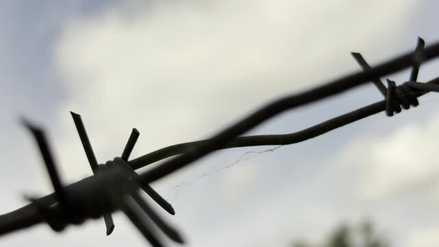 Harsh barbed wire stretches across the frame against an overcast sky. This cold barrier creates an intense feeling of confinement and lingering anxiety.