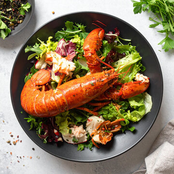 Fresh Gourmet Lobster Salad with Mixed Greens in Black Bowl