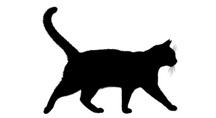 Black cat silhouette, feline icon, walking cat, animal design element © MdSakil