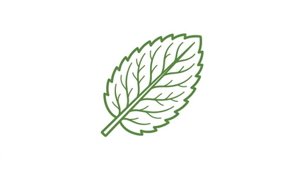 Single green mint leaf illustration on white background. © Alisya