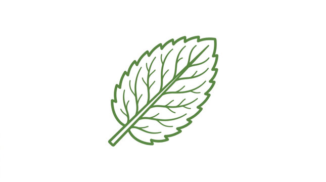 Single green mint leaf illustration on white background.