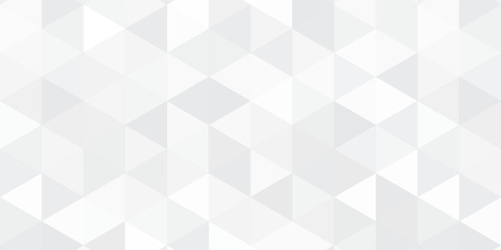 Gray White Polygon Mosaic Background, business and corporate background.