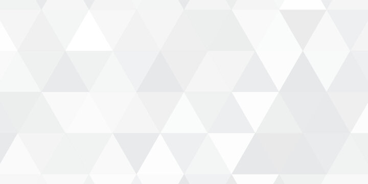 Gray White Polygon Mosaic Background, business and corporate background.
