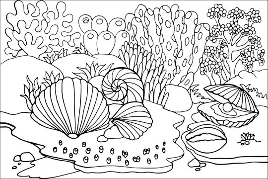 Ocean floor line art with pearl oyster and giant clam shell coloring page. Beautiful underwater marine life vector illustration featuring detailed coral reefs, sea anemones, bubbles,