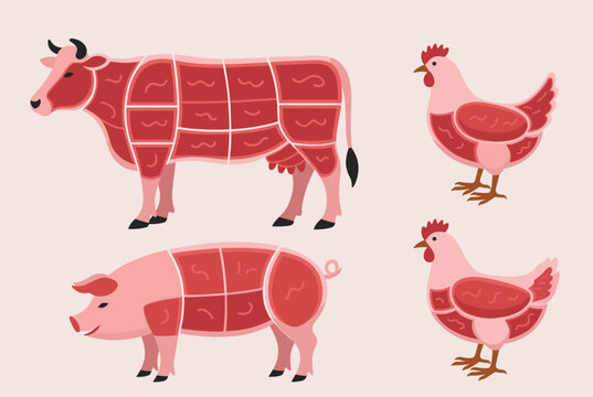 Educational butcher chart illustrates various meat cuts for a cow, pig, and chicken using a simple color-coded diagram.