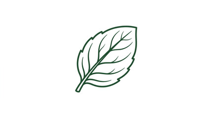 Single Mint Leaf Outline Illustration. © Yami