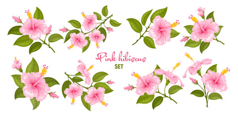 Pink hibiscus. Hibiscus flower. Set of the one, two or three flowers on the twig. Various branches with flowers, buds and leaves. Tropic and subtropic plants, gumamela. Isolated vector illustration © Pagina