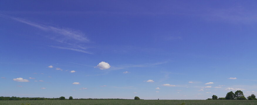 Vast Open Green Field Under a Clear Blue Sky with Scattered White Puffy Clouds a Serene Summer Landscape for Panorama Background Use