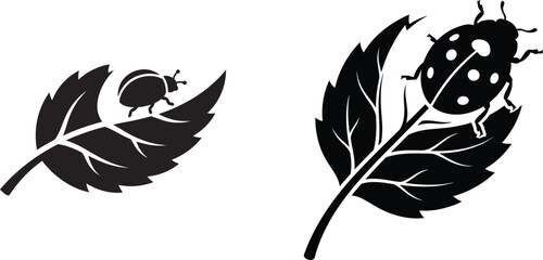 Black silhouette ladybug on leaf illustrations © MOSTSHIMA