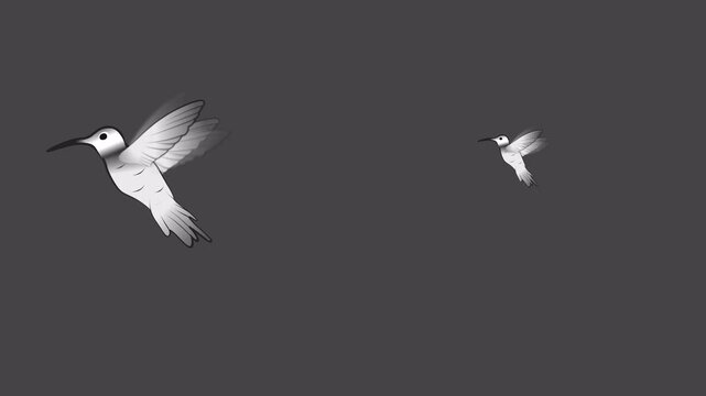 A cartoon hummingbird flying around, Transparent, loop, black stroke, white colour, and sharp edge