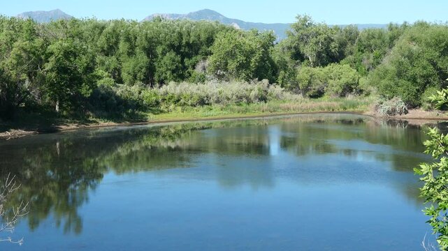 Sawhill Ponds Wetland with Flatirons Reflection and Birdsong in Boulder Colorado