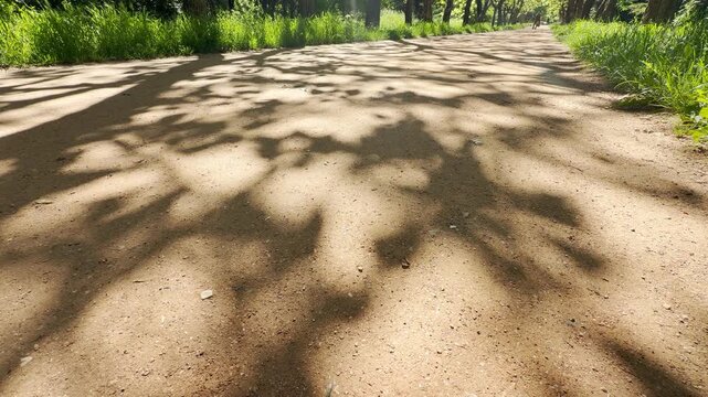 Dark tree shadows stretch across a sandy dirt path. Bright green grass lines the road under the summer sun. The quiet scene feels peaceful and warm.