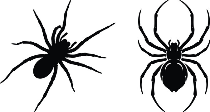 Black widow and brown recluse spider silhouettes