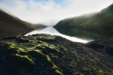 Island, Detail von Moos mit See im Gegenlicht © Andreas P