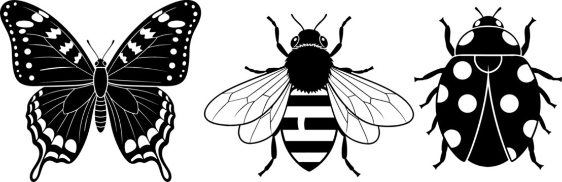 Detailed Insect Silhouette Vector Set Featuring Garden Butterfly Detailed Honeybee and Spotted Ladybug Stencil Clip Art Graphic Icons