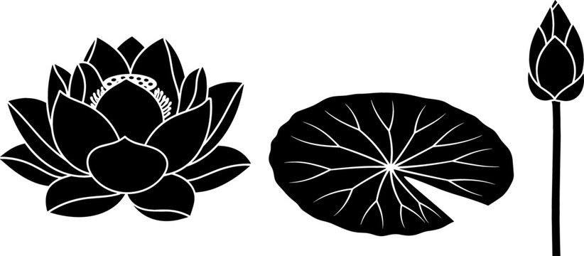 Lotus Flower Silhouette Set Featuring Blooming Water Lily Open Blossom Detailed Lily Pad Leaf and Closed Bud Stencil Elements