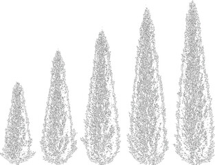 Tall coniferous trees of varying heights and shapes outlined on a transparent background, perfect for landscape design. © MD ALI STOCK