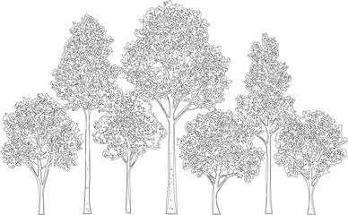 Fototapeta premium Group of six distinct line art trees with detailed branches and abundant leafy canopies, isolated on a transparent background for versatile use.