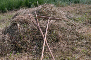 wooden rake and pitchfork on hay  © admirdervisevi