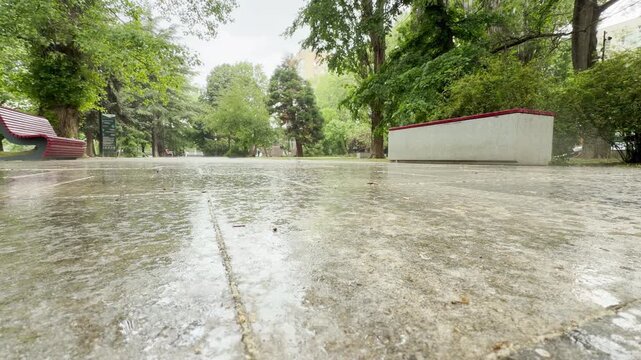 A wet stone walkway glistens after a rain shower. Red and concrete benches sit empty along the path surrounded by lush green trees in a peaceful park.