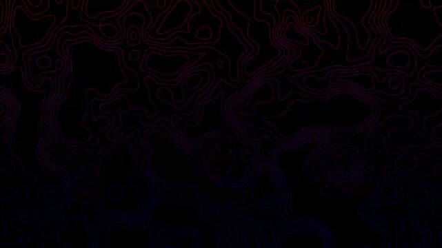 Thin, abstract topographic contour lines continuously shifting and morphing across a solid black background, with a dark pink to purple gradient pattern coloring the lines, geographic cartography map 