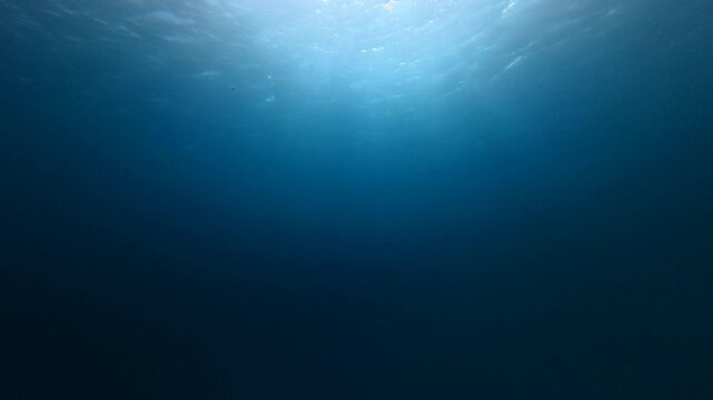 Blue shallow ocean with sunbeams. Underwater scuba diving with sun rays. Shallow sea with sunrays. Exploring the sea. Travel footage, sun underwater.