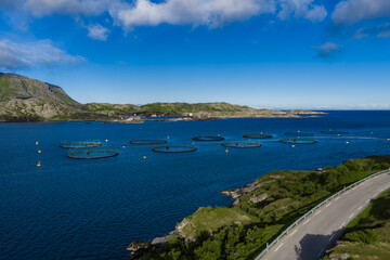 Fototapeta premium Aerial view of circular salmon pens on a fjord in Lofoten, Norway. Rugged hills, rocky shore, docks, and a winding coastal road appear under crisp midday light.