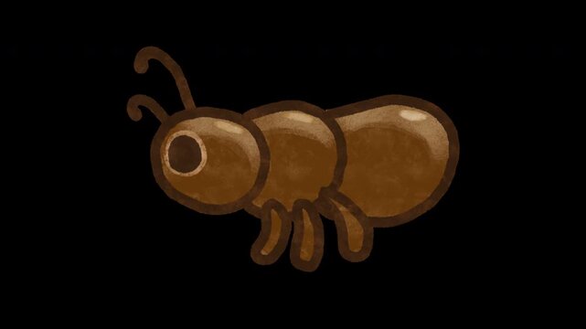 Transparent background. Stylized 2D animation of a cute hand-drawn kawaii brown ant running. Tiny insect character fast moving its legs and antennae in a seamless loop. Adorable active walking motion.