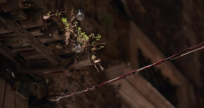 String lights hang beside vegetation growing from a historic stone building facade in the old town of Sibenik Croatia.