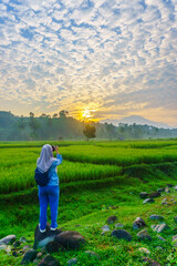 Fototapeta premium Terraced Rice Fields at Sunrise in Indonesia. Beautiful panoramic view of terraced rice fields surrounded by lush tropical greenery and palm trees