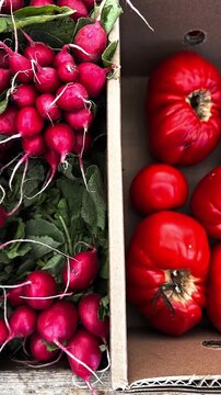 Colorful assortment of fresh organic produce at a local farmers market. Radishes, heirloom tomatoes, and yellow cherry tomatoes ready for sale in slow motion video