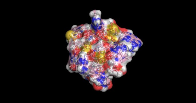 Miravirsen, antisense oligonucleotide inhibitor of hepatitis C, 3D molecule spinning 4K
