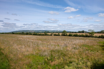 Obraz premium Open meadow and farmland with Bredon Hill in the distance under a summer sky near Ashchurch, Tewkesbury, Gloucestershire, England