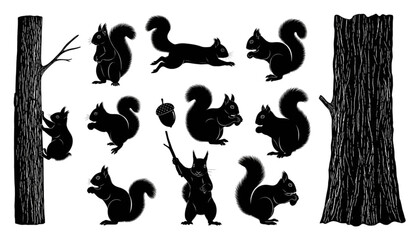 Squirrel Silhouettes with Tree Trunk Vector Collection © Prodip