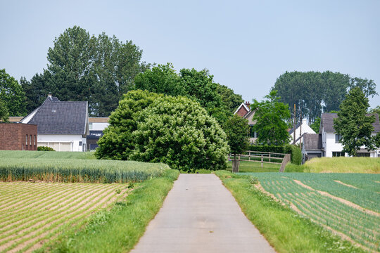 Cycling path through agricultural land in Belgium