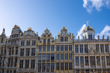 Fototapeta premium Brussels is the capital of Belgium, the French Community of Belgium, and the Flemish Community. It is also the de facto capital of the European Union.