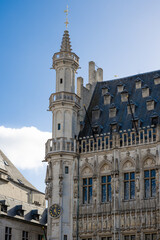 Obraz premium Brussels is the capital of Belgium, the French Community of Belgium, and the Flemish Community. It is also the de facto capital of the European Union.