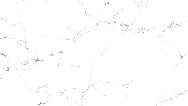 Gray marbled texture with white background and cracked surface pattern