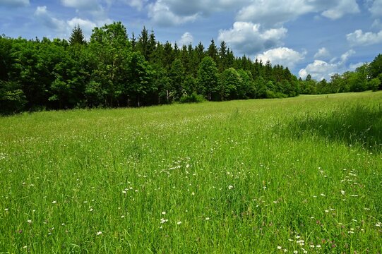 Beautiful spring landscape with nature - Czech Republic - Europe. Concept for travel and environment.