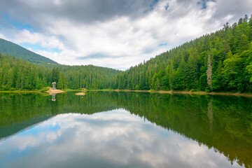 Fototapeta premium landscape by the lake on cloudy morning. coniferous forest near the lake and the forest mountain. awesome summer view of carpathian mountain reflection on synevr lake water surface. clean environment