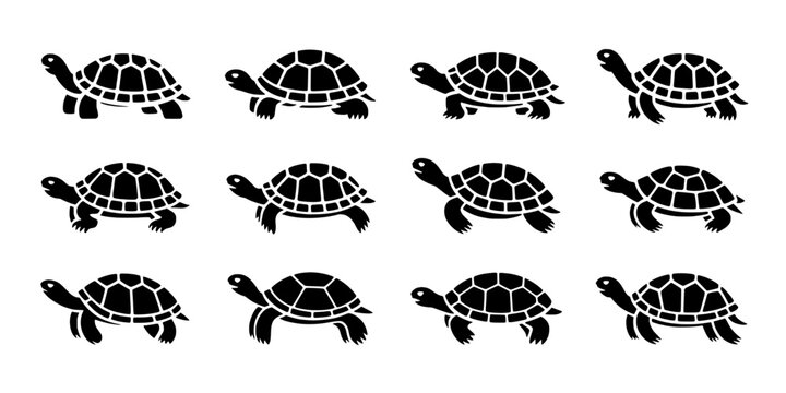 Turtle Icons in Black Vector Style, Repeating Pattern for Wildlife Branding, Educational Graphics, and Web or Poster Design