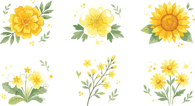 Yellow flowers watercolor illustration set with hand drawn botanical elements of sunflower marigold buttercup primrose and daisy floral arrangements